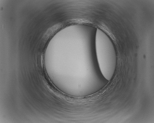 X0000066010014200603031015