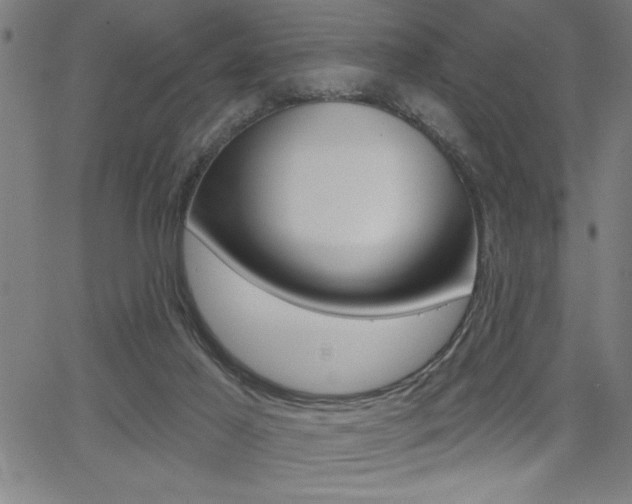 X0000066010021200603031015
