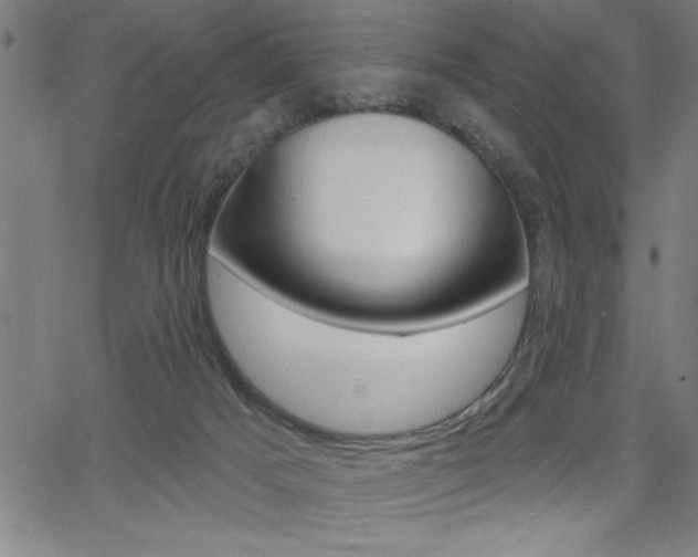 X0000066010025200603031015