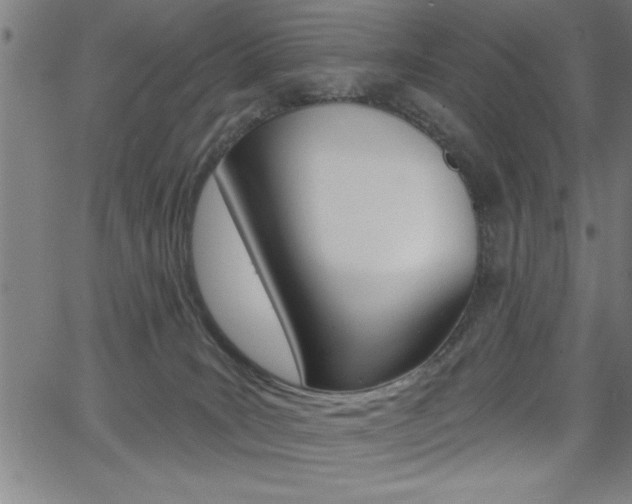 X0000066010035200603031014
