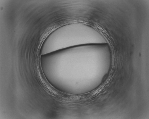 X0000066010049200603031013