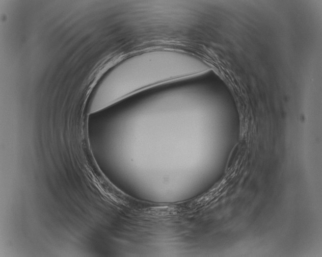 X0000066010050200603031013