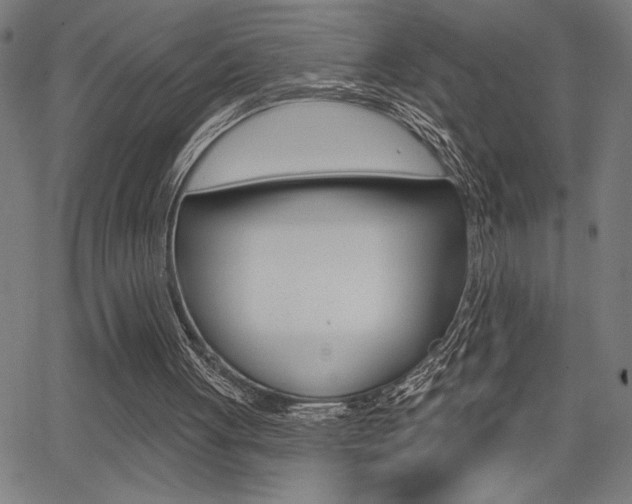 X0000066010051200603031013