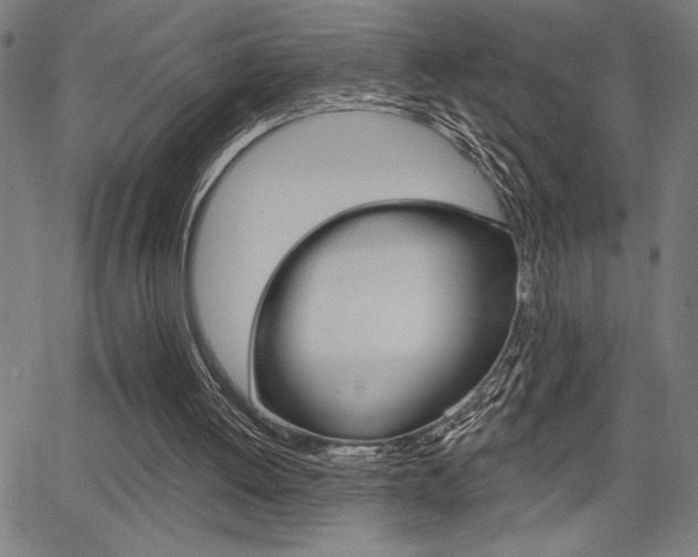 X0000066010052200603031013