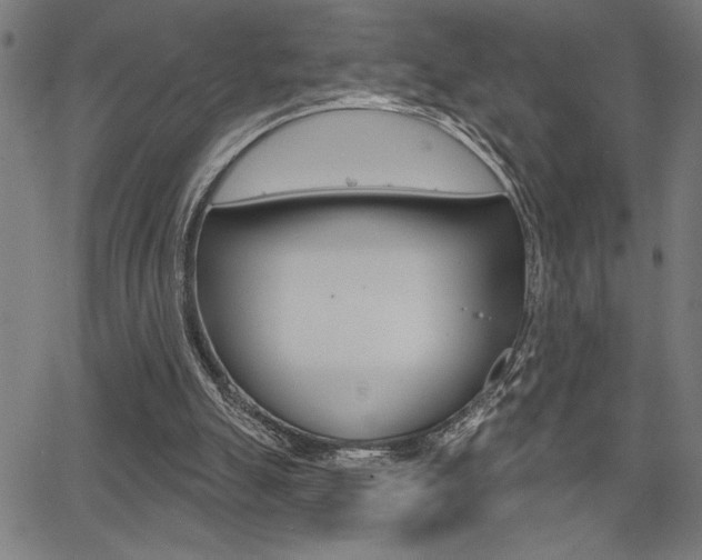 X0000066010055200603031013