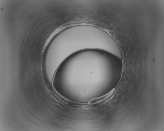 X0000066010056200603031013
