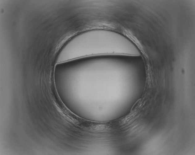 X0000066010058200603031014