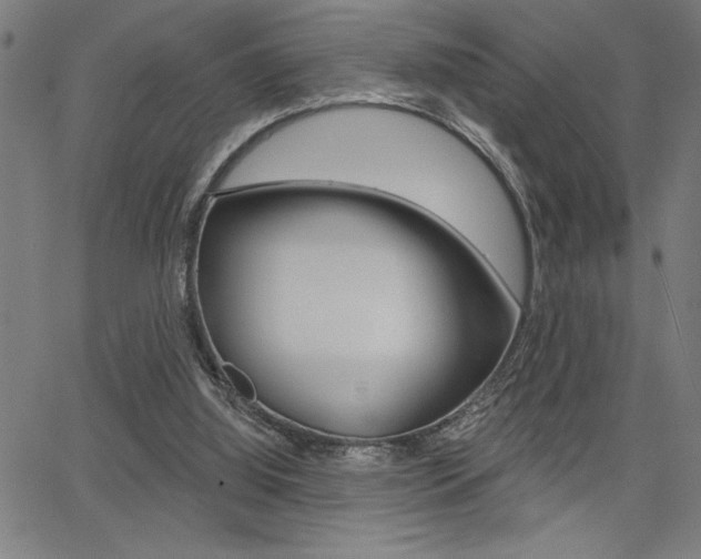 X0000066010060200603031014