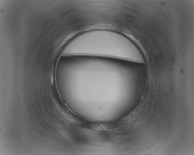 X0000066010062200603031014