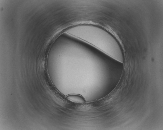X0000066010063200603031014