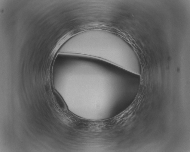 X0000066010099200603031013