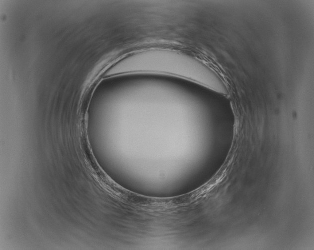 X0000066010101200603031013