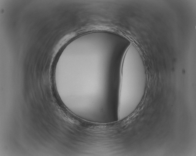 X0000066010104200603031013