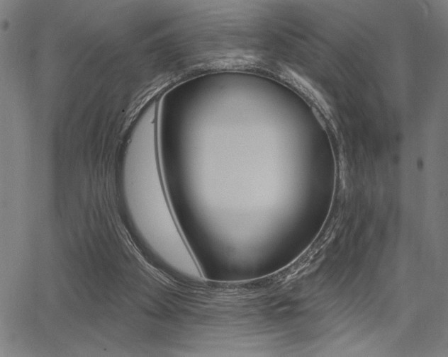 X0000066010105200603031013