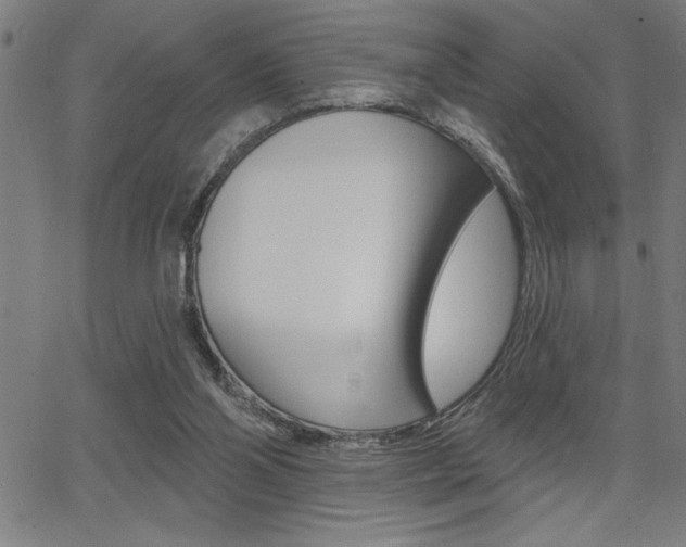X0000066010110200603031013