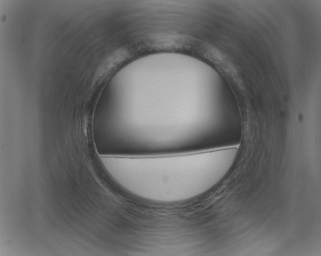 X0000066010115200603031013