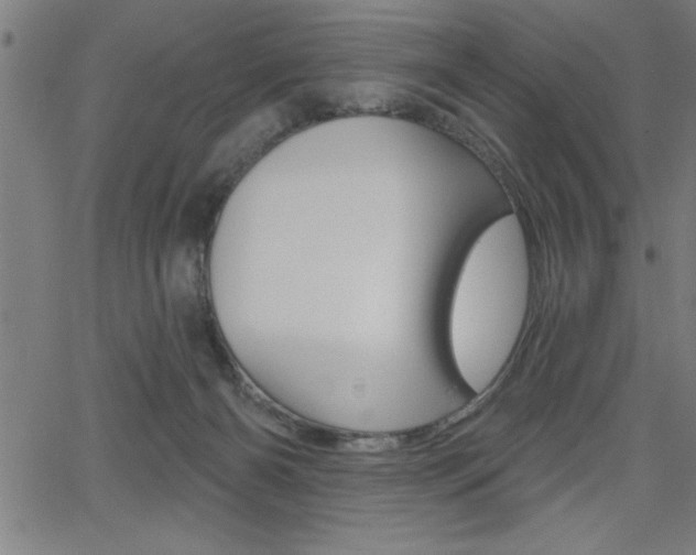 X0000066010126200603031013