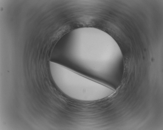 X0000066010132200603031013
