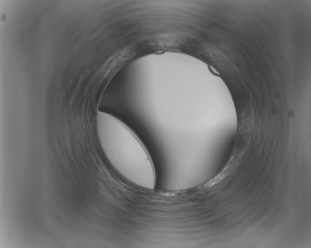 X0000066010140200603031013