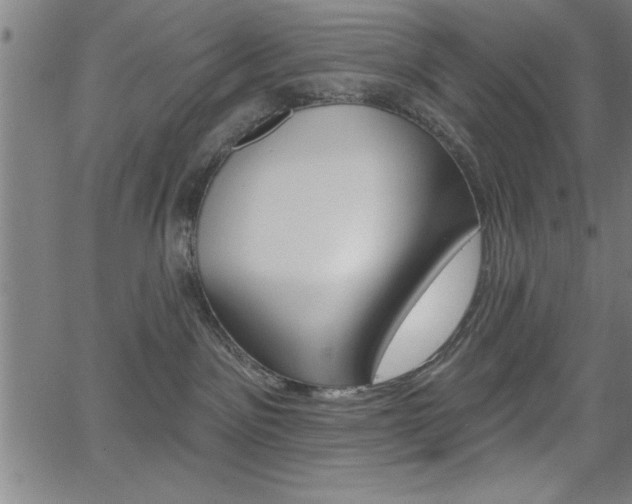 X0000066010141200603031013