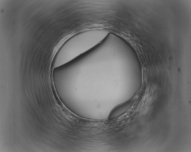 X0000066010147200603031012