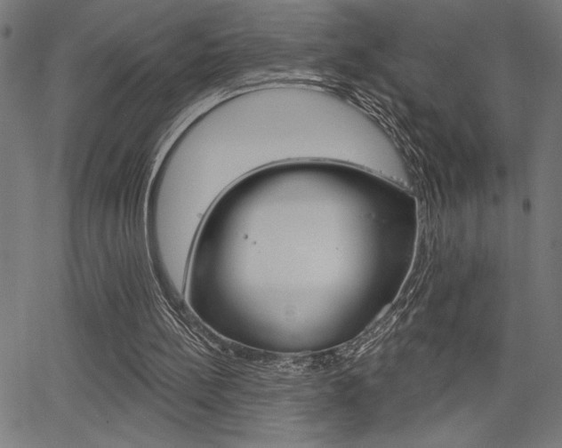 X0000066010148200603031012
