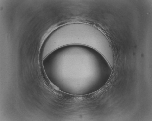 X0000066010152200603031012