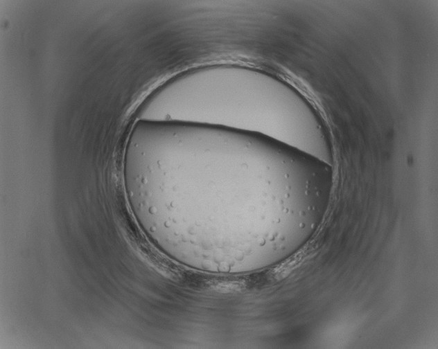 X0000066010155200603031012