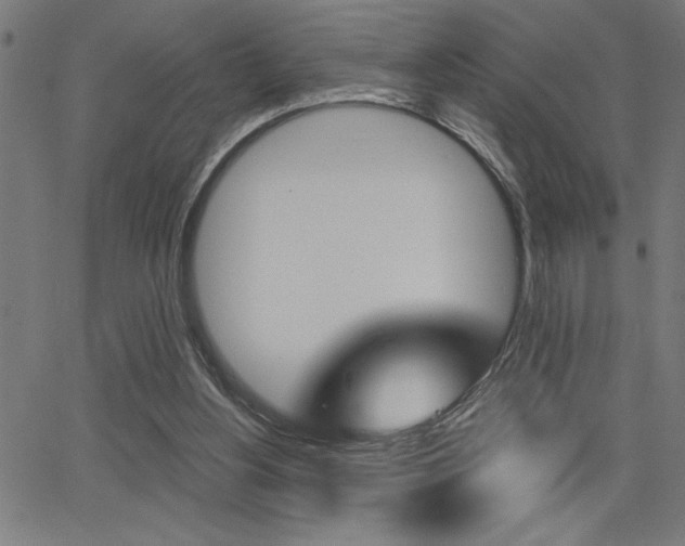 X0000066010156200603031012