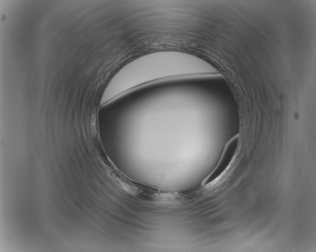 X0000066010192200603031012