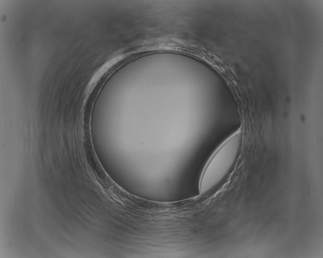 X0000066010200200603031012