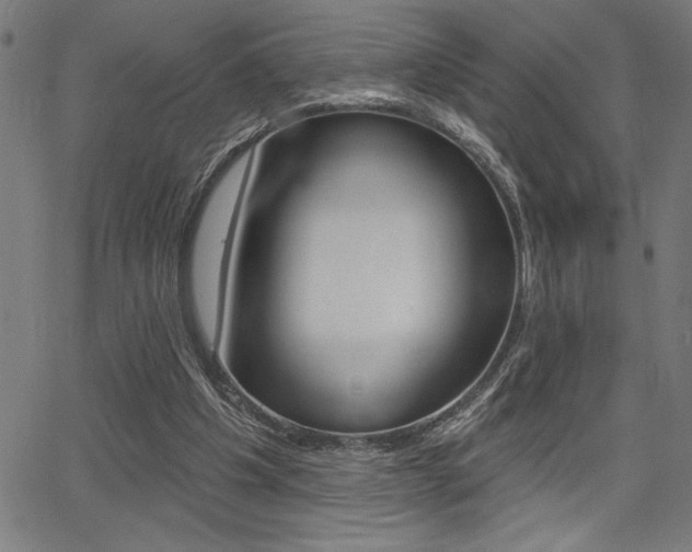 X0000066010201200603031012