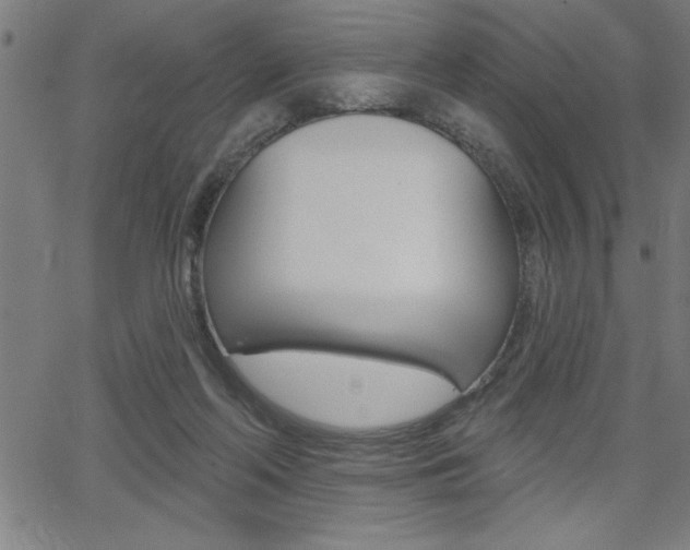 X0000066010214200603031011