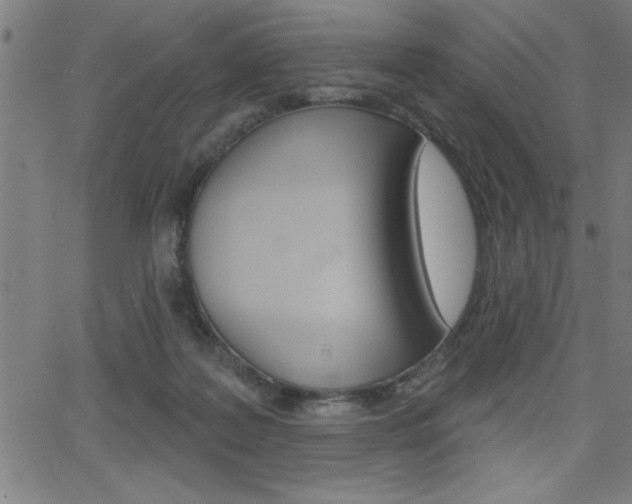 X0000066010219200603031011