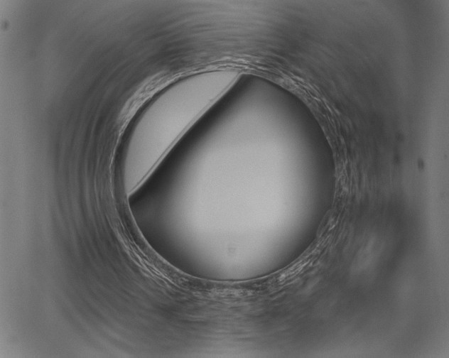 X0000066010242200603031010