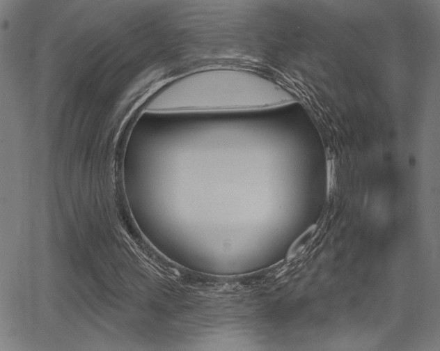 X0000066010243200603031010
