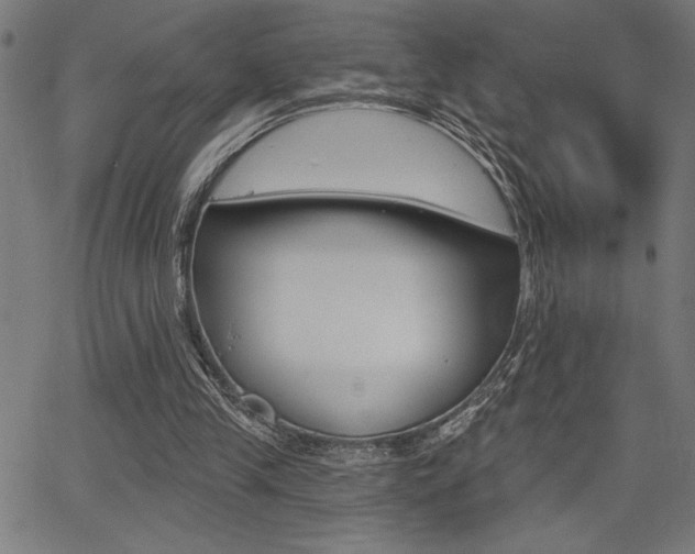 X0000066010245200603031010