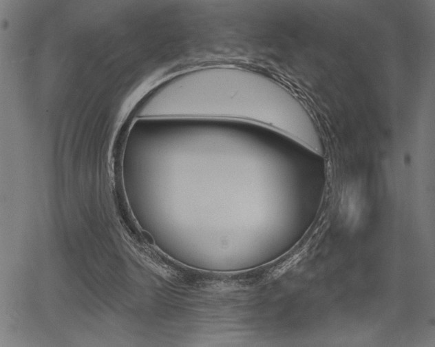 X0000066010246200603031010