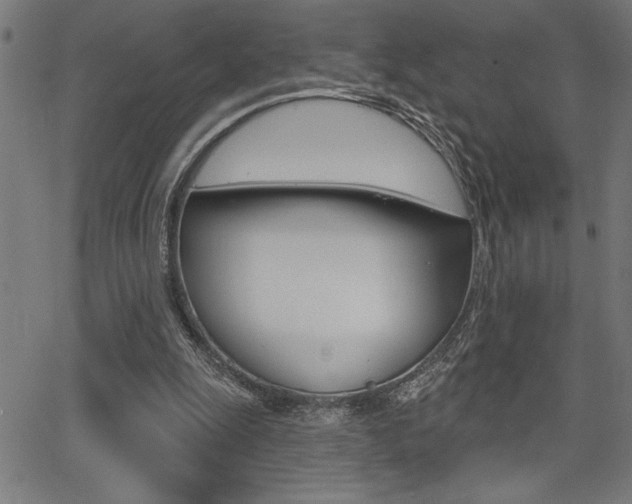 X0000066010247200603031010
