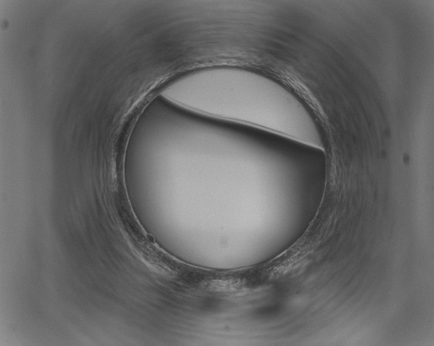 X0000066010251200603031010
