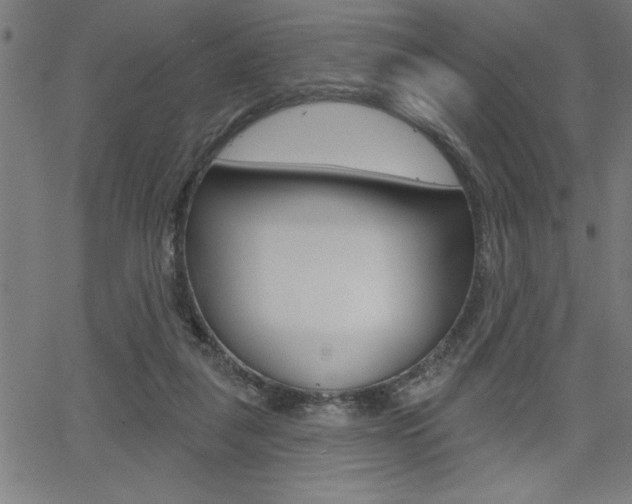 X0000066010259200603031010