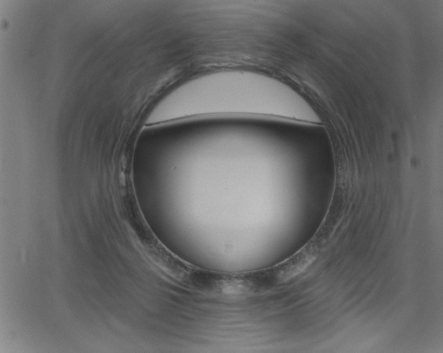 X0000066010264200603031011