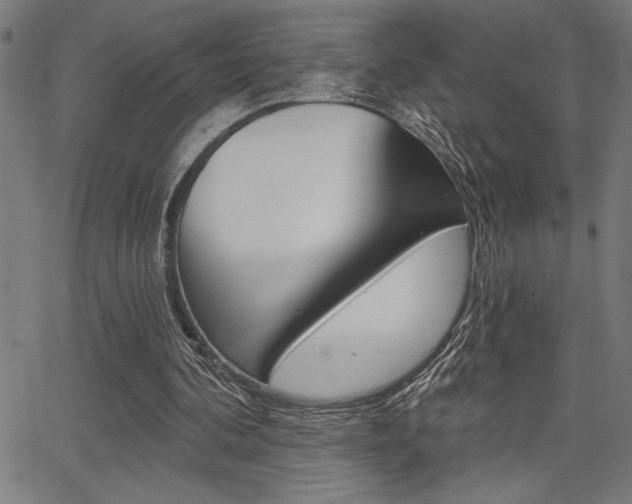X0000066010292200603031010