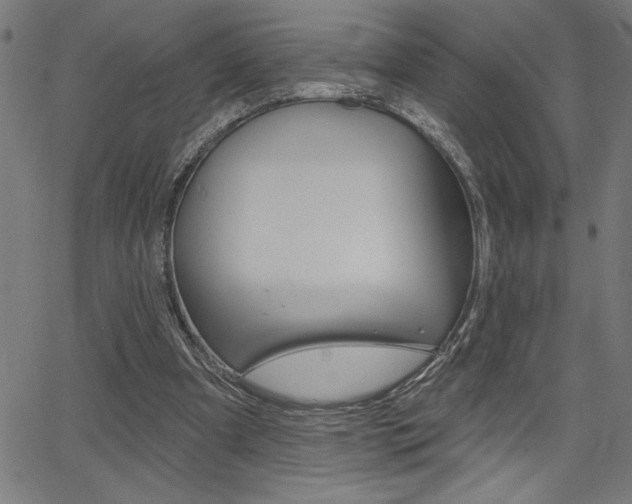 X0000066010297200603031010
