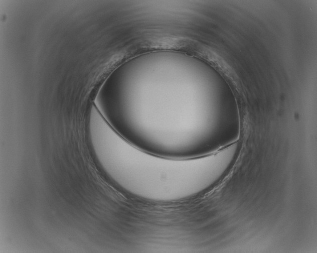 X0000066010305200603031010