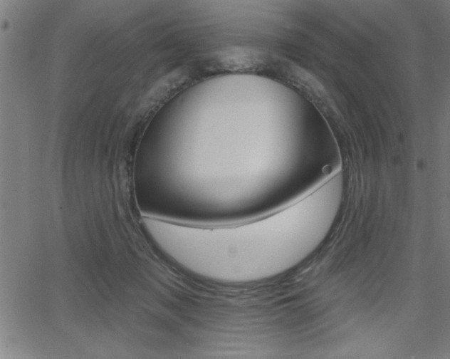 X0000066010317200603031010