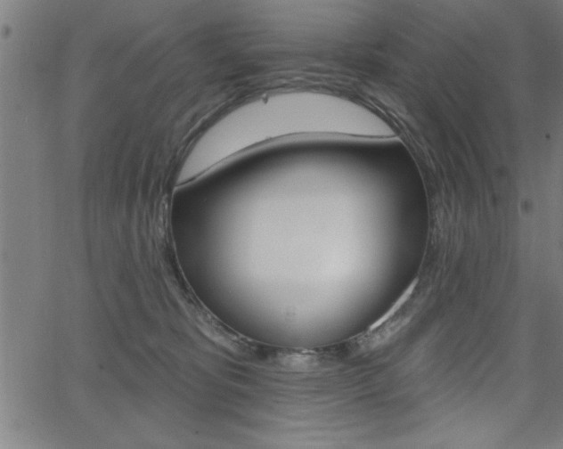 X0000066010325200603031010
