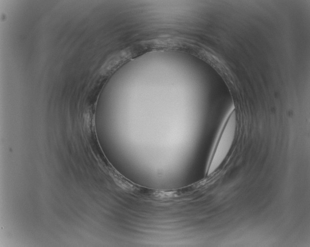 X0000066010333200603031009