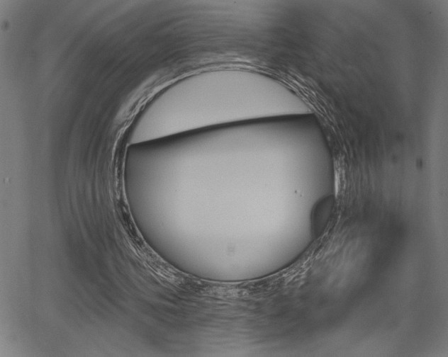 X0000066010339200603031009