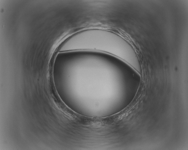 X0000066010344200603031009